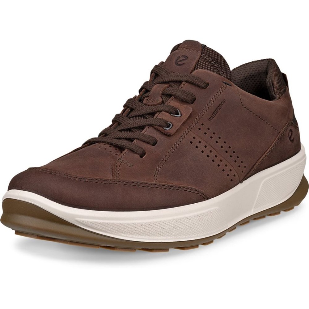 Seliga ShoesEcco Men's Byway 2.0 Lace Up - Coffee