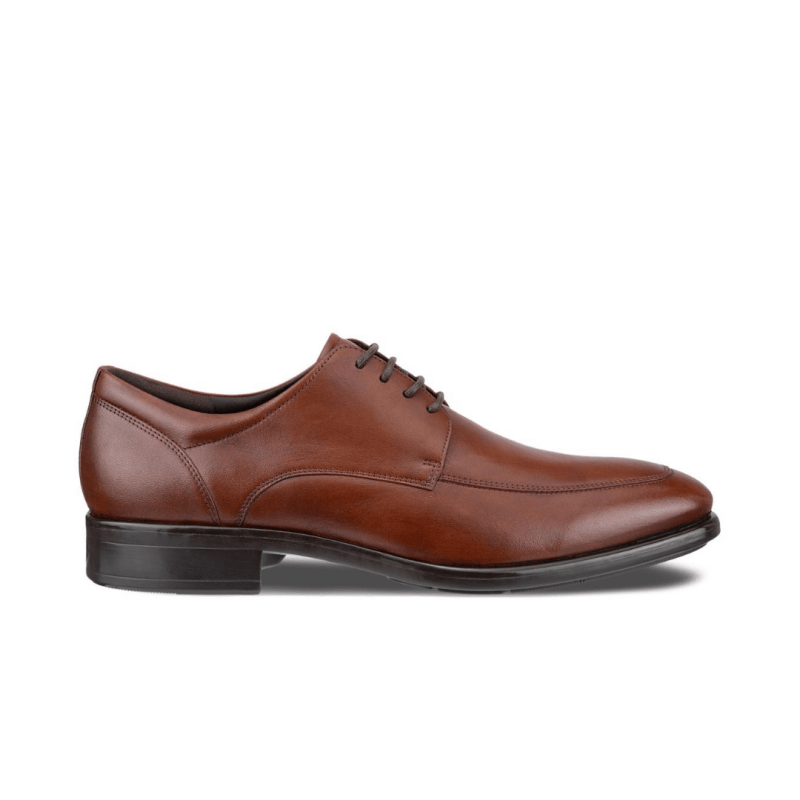 Seliga ShoesEcco Men's Citytray Oxford - Cognac
