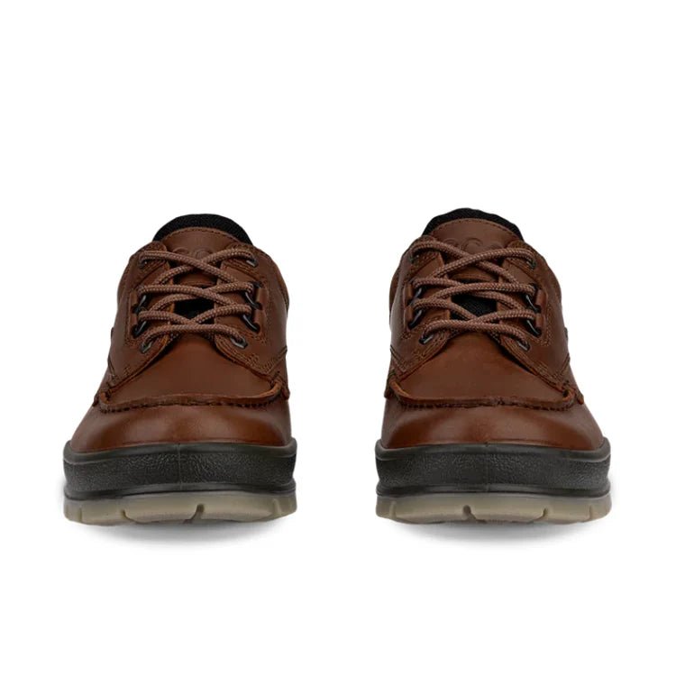 Seliga ShoesEcco Men's Track 25 Moc GTX Shoe - Bison/Bison