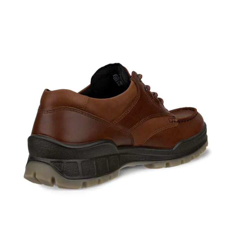 Seliga ShoesEcco Men's Track 25 Moc GTX Shoe - Bison/Bison