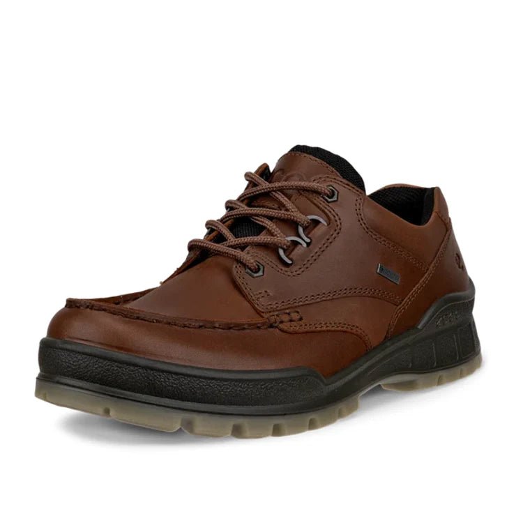 Seliga ShoesEcco Men's Track 25 Moc GTX Shoe - Bison/Bison