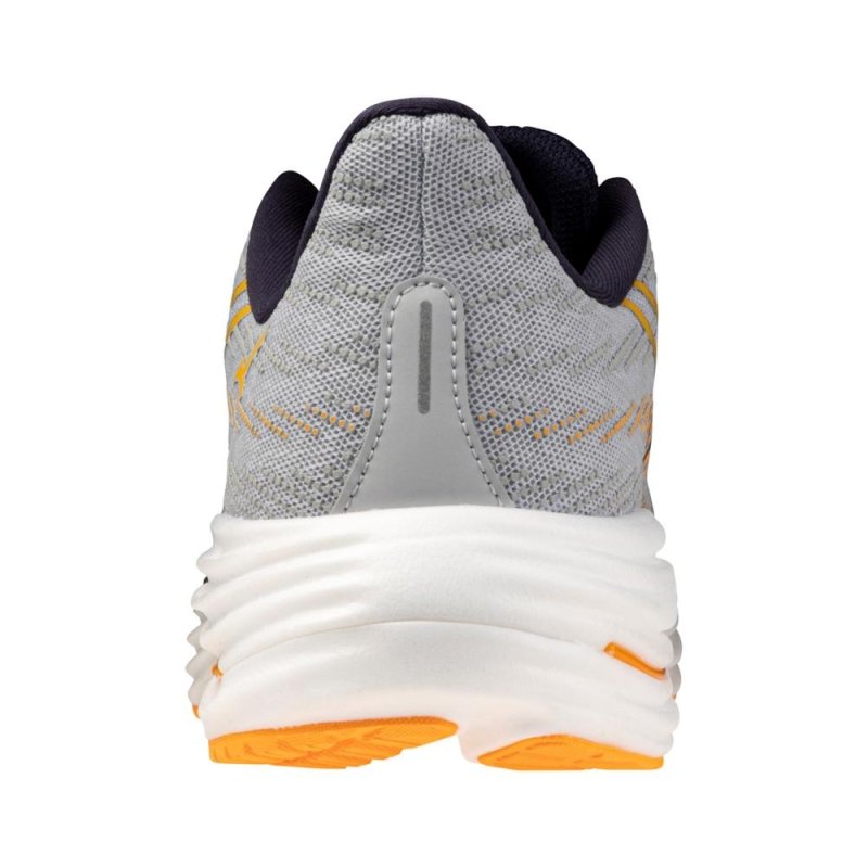 Mizuno Men's Wave Rider 29 - Harbor Mist/Baritone Blue