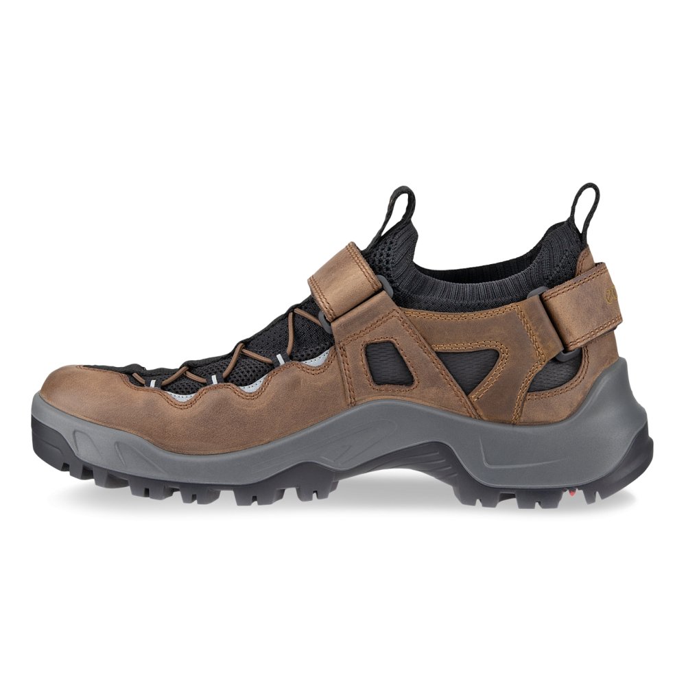 Seliga ShoesEcco Men's Offroad Shoe - Cocoa Brown/Black/Camel