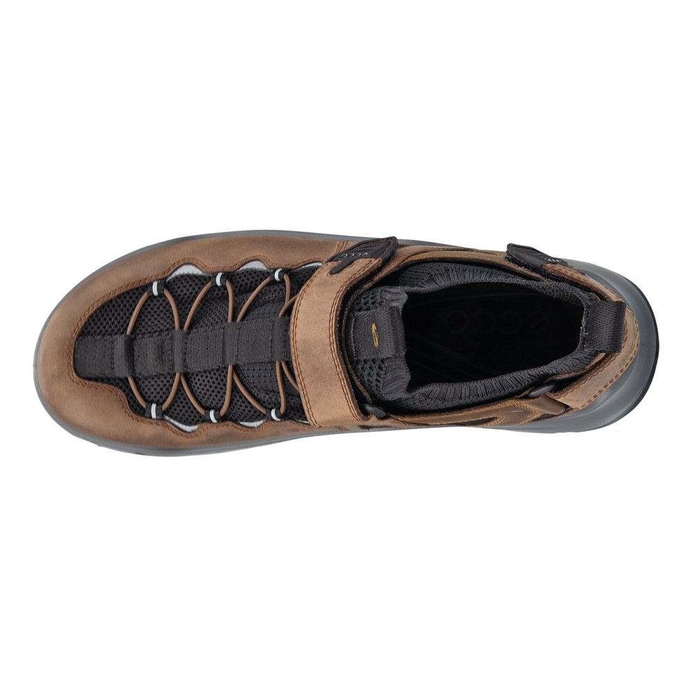 Seliga ShoesEcco Men's Offroad Shoe - Cocoa Brown/Black/Camel