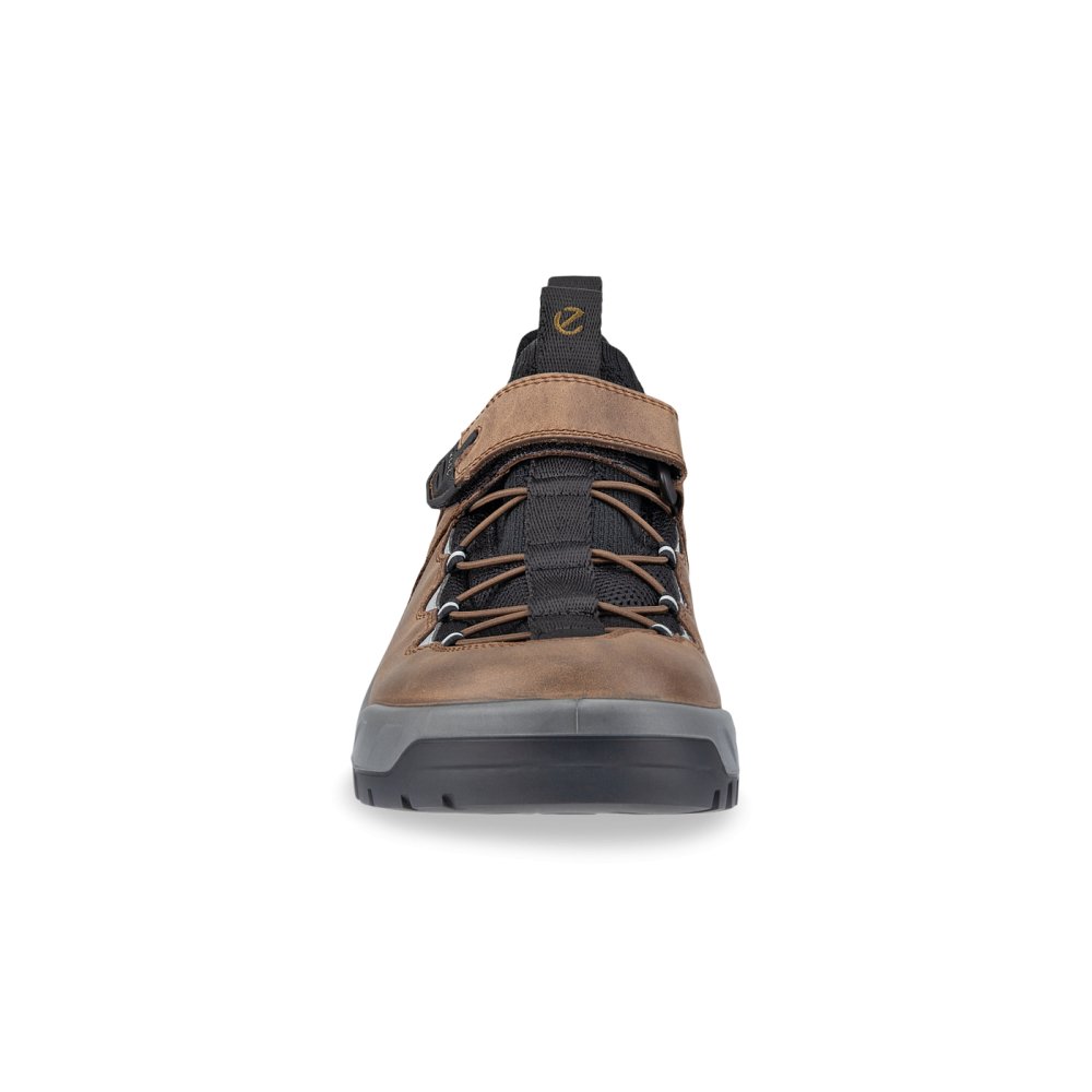 Seliga ShoesEcco Men's Offroad Shoe - Cocoa Brown/Black/Camel