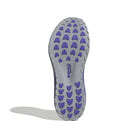 adidas Men's Hyperboost GTX Running Shoes - Halo Silver/Solar Purple