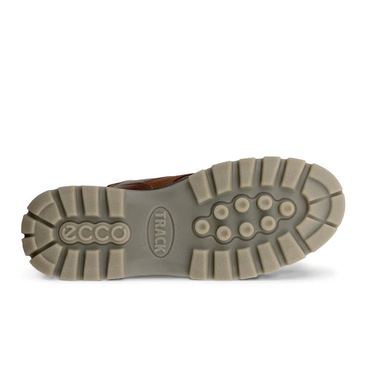 Ecco Men's Track 25 Gore - Tex Mid - Cut Boot - Bison