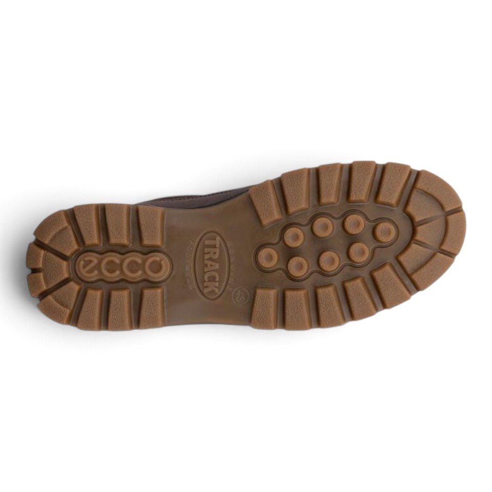 Ecco Men's Track 25 Gore-Tex Walker - Coffee/Black