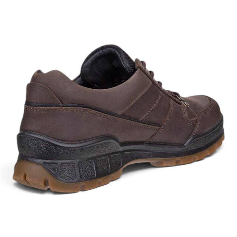 Ecco Men's Track 25 Gore-Tex Walker - Coffee/Black
