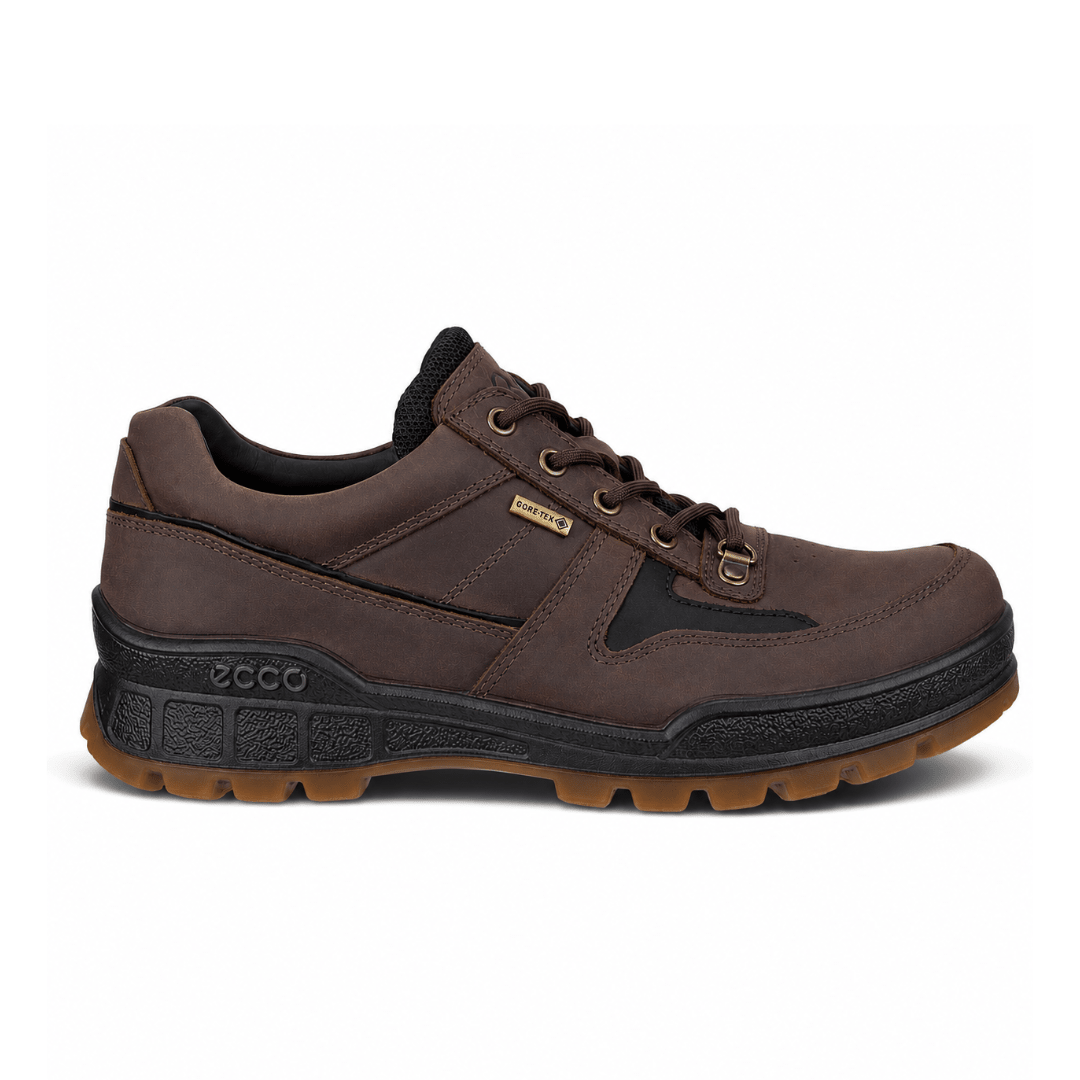 Ecco Men's Track 25 Gore-Tex Walker - Coffee/Black