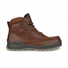 Ecco Men's Track 25 GTX Lace-Up Boot - Bison