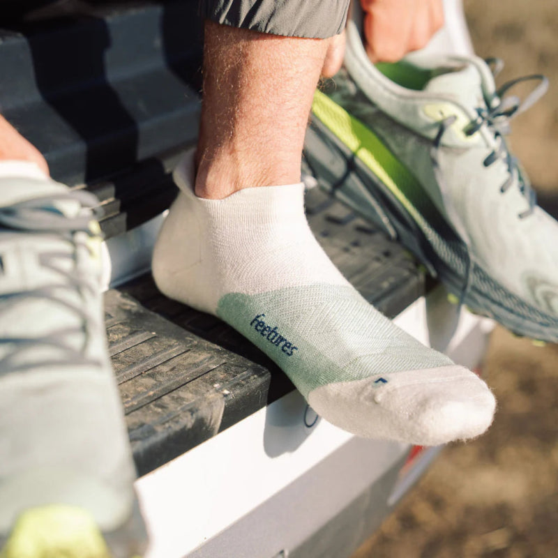 Feetures Merino 10 Max Cushion No Show Tab Socks - Pampas Grass