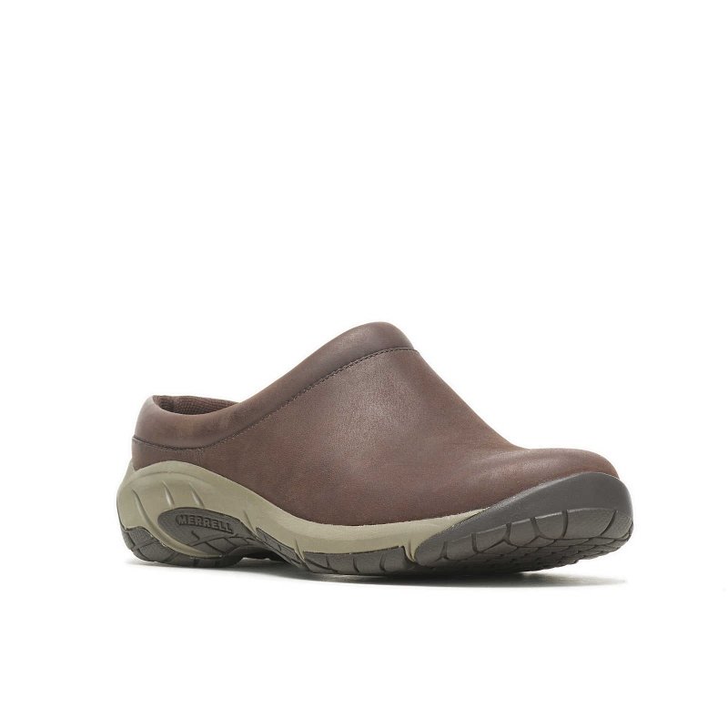 Merrell Women's Encore Nova 4 - Espresso – Seliga Shoes