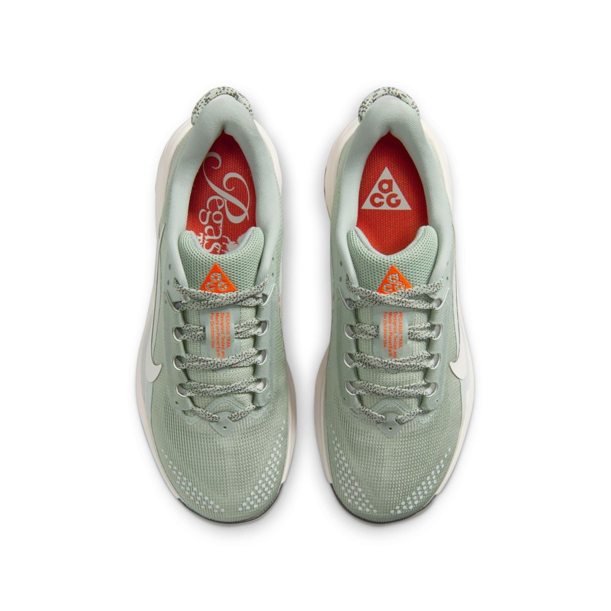 Nike Men's ACG Pegasus Trail Running Shoes - Jade Horizon/Phantom Light Silver