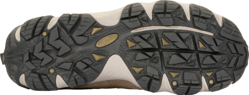 Oboz Men's Firebrand II Low Waterproof - Pine