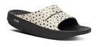 OOFOS Women's OOahh Limited Slide Sandal - Pebble
