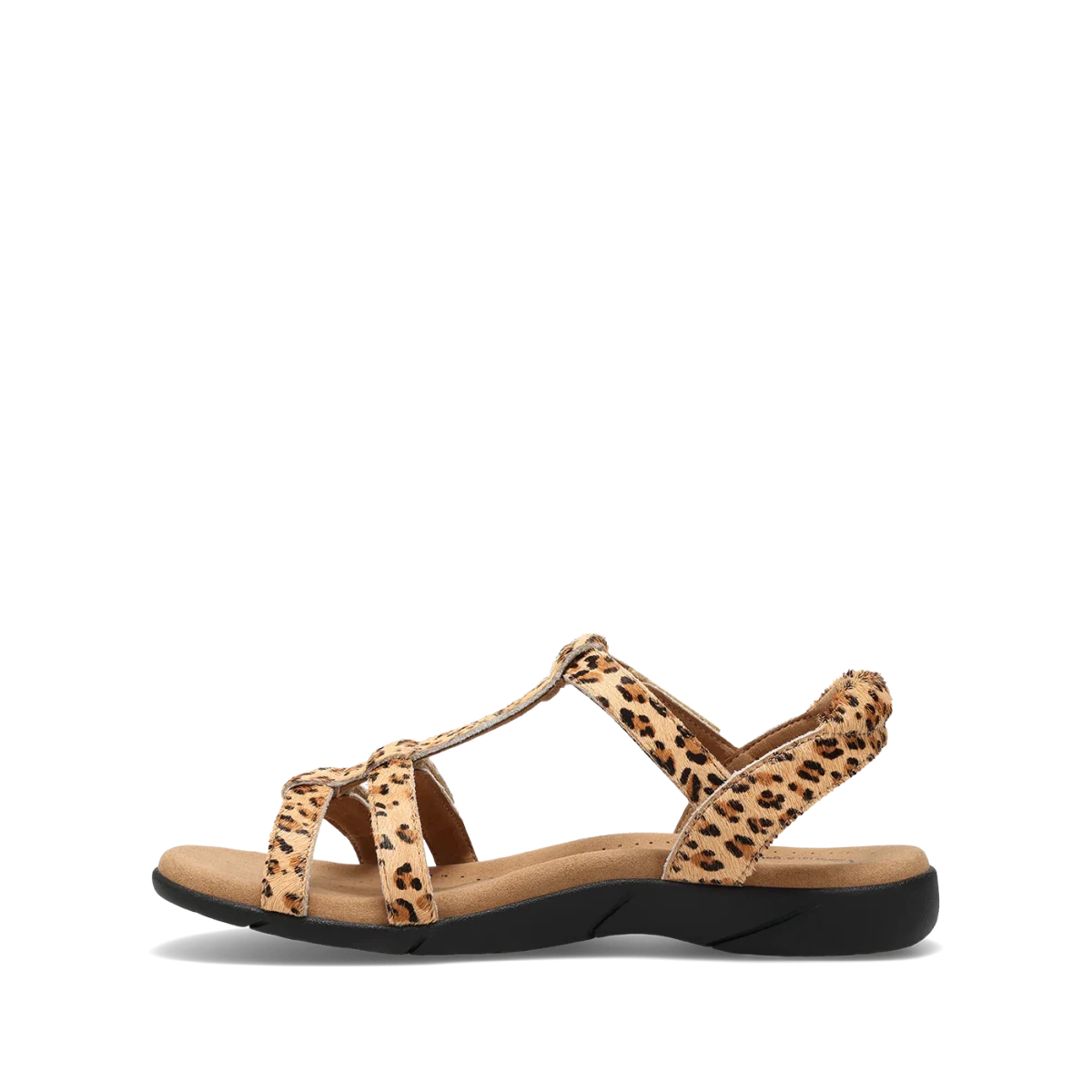 Taos Women's Trophy 2 Sandal - Cheetah Pony Hair